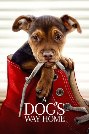 Uyga itning yo'li